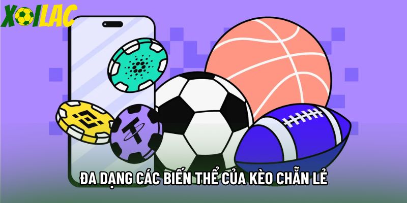 Đa dạng các biến thể của kèo chẵn lẻ