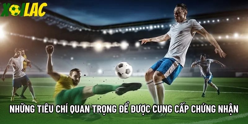 Những tiêu chí quan trọng để được cung cấp chứng nhận