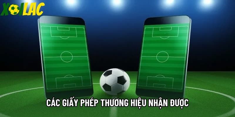 Các giấy phép thương hiệu nhận được