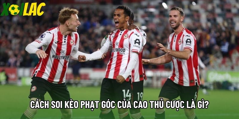 Cách soi kèo phạt góc của cao thủ cược là gì?