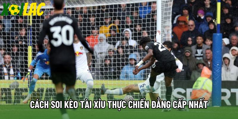 Cách soi kèo tài xỉu thực chiến đẳng cấp nhất