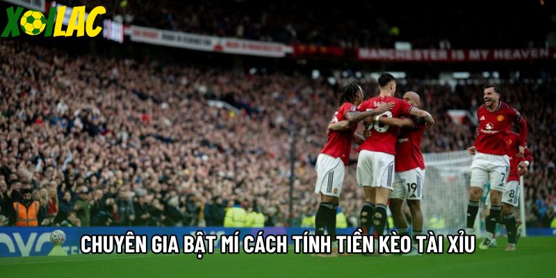 Chuyên gia bật mí cách tính tiền kèo tài xỉu