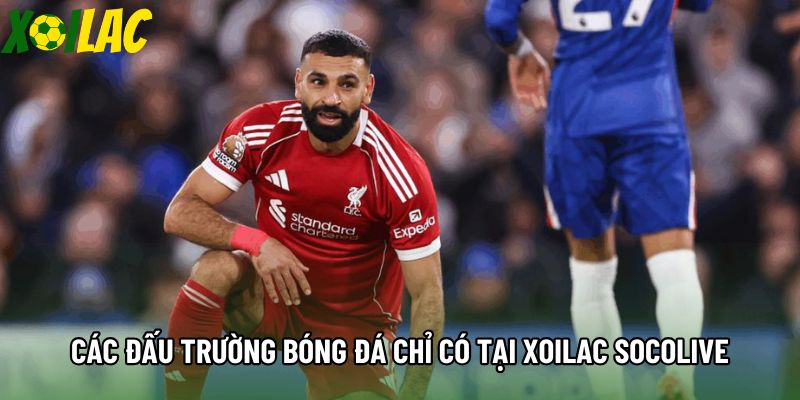 Các đấu trường bóng đá chỉ có tại Xoilac socolive